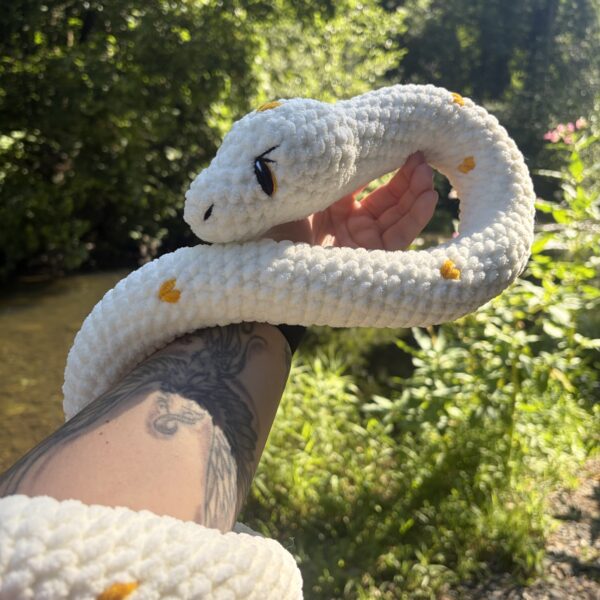 img_0352-2 Ollie - Le serpent aux cœurs dorés